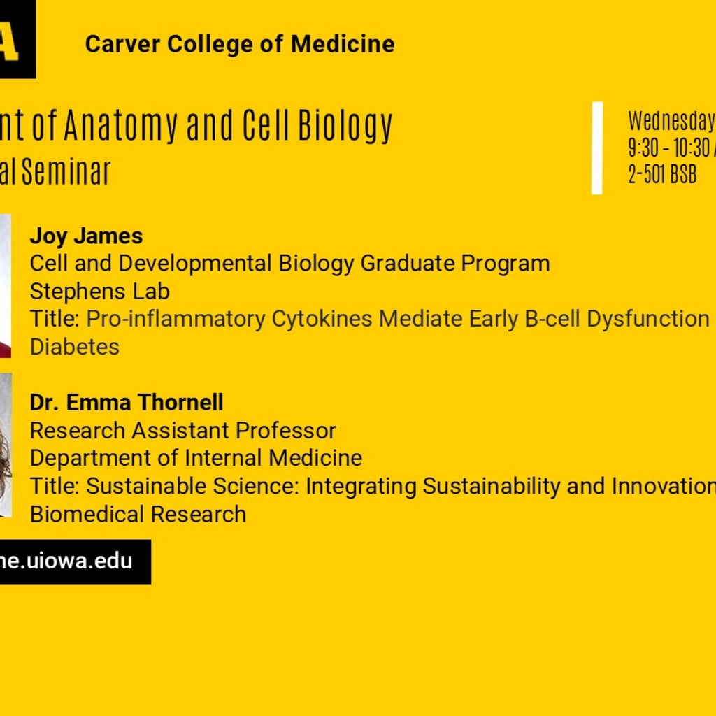 ACB Seminar Series - Joy James & Dr. Emma Thornell  promotional image