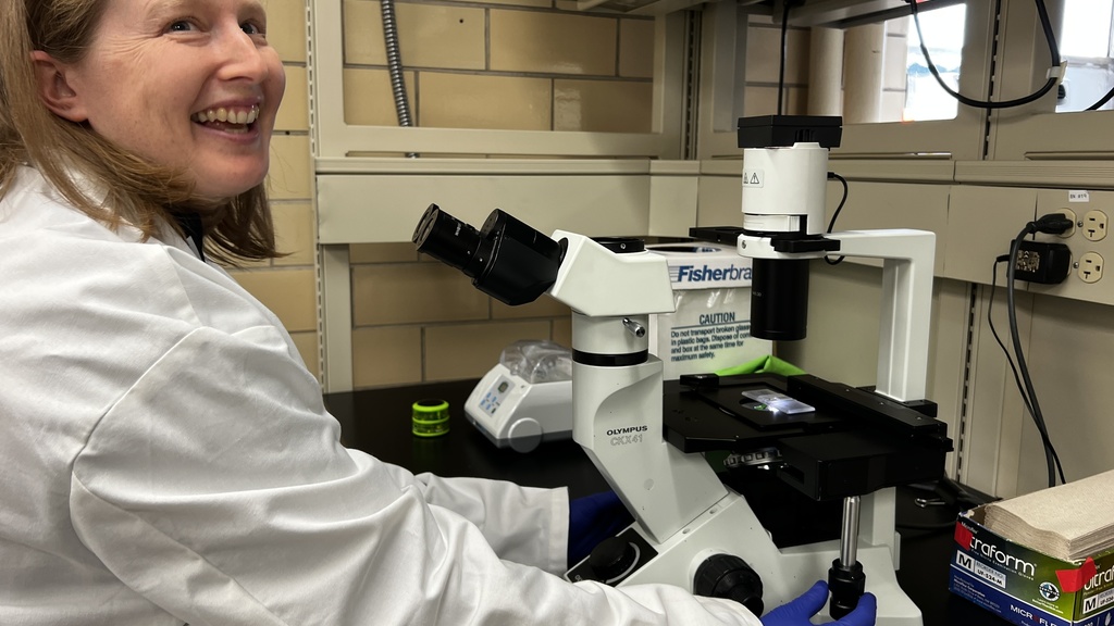 Physician Scientist Training Pathway (PSTP)